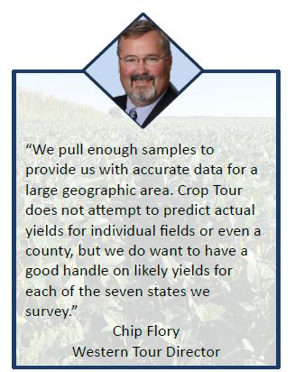 profarmer's tweet photo. Crop Tour is a fact-finding mission with a goal of getting a strong, objective view of corn yield potential from one big field across the seven states we sample during the third full week of August. #pftour25 https://t.co/jAzqwhHnIn