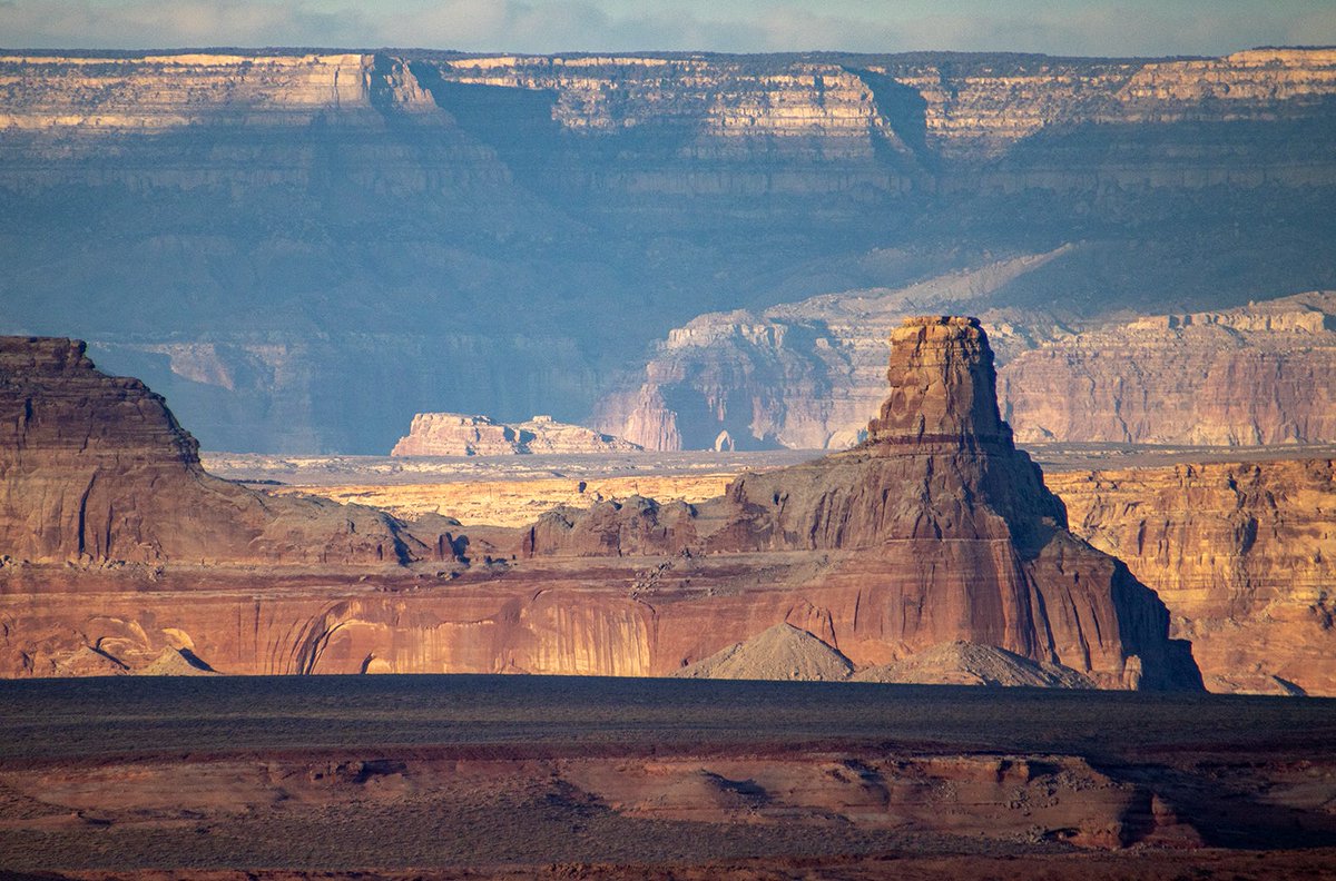 John Orr tweet media