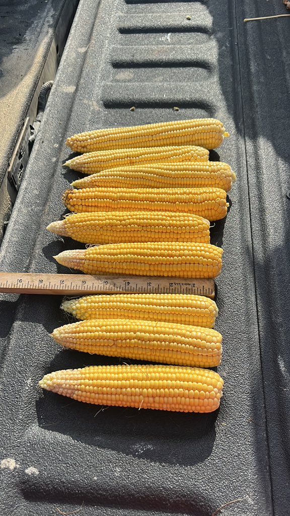 Bruce Lantzky tweet media