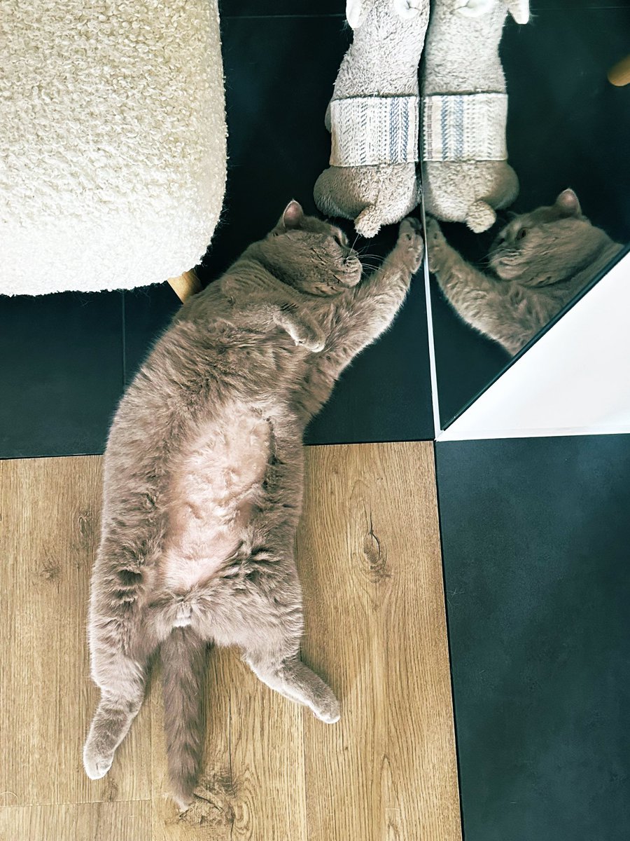 Сікстинська капела переїхала на Солому