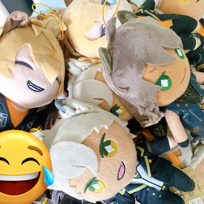 一時期処分台にて大量にあったぬいを可哀想で捕獲してたのだけど、ずっとしまいっぱなしなので9/21イベント参加で欲しい方いますか?差し上げます!!サバナ以外にもいます!EXの大きい子達です><相互さん限定
