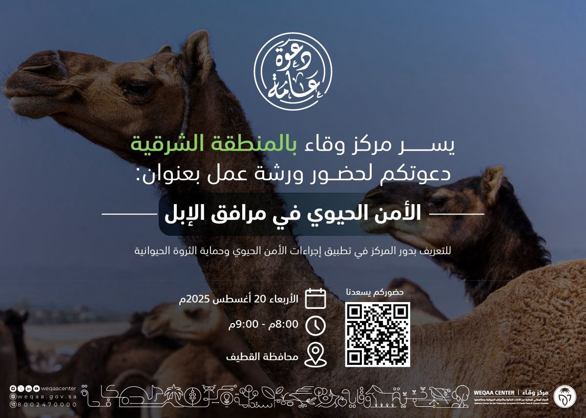 مركز #وقاء يعقد ورشة عمل تدريبية لملاك الإبل في #المنطقة_الشرقية لتعزيز وعي الملاك بتطبيق إجراءات "الأمن الحيوي في مرافق الإبل" والتي قام المركز بتطويرها وفق أفضل الممارسات العالمية لمنشآت تربية الإبل وإنتاجها.