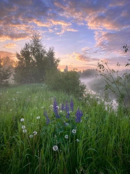 What is more “August” than 
the stillness of trees leaves 
on a calm morning, when 
they seem to listen to the 
song of light of the rising Sun🍃

poetry by Paul Valery 

I can feel Autumn in the air.
And it’s just wonderful &amp; lovely🍃🪻