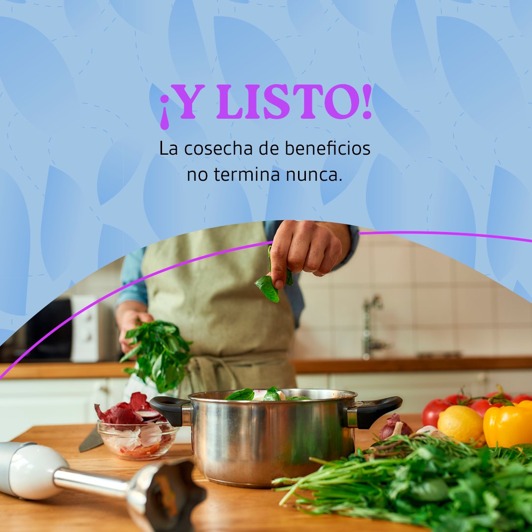 ¿Querés empezar a disfrutar de los beneficios de Simpatizantes?

Seguí estos pasos y canjeá tus puntos por premios increíbles. 

Deslizá y conocé el paso a paso.

 Más info en: simpatizantes.com.ar
*Recordá que el programa es exclusivo para productores que compren en