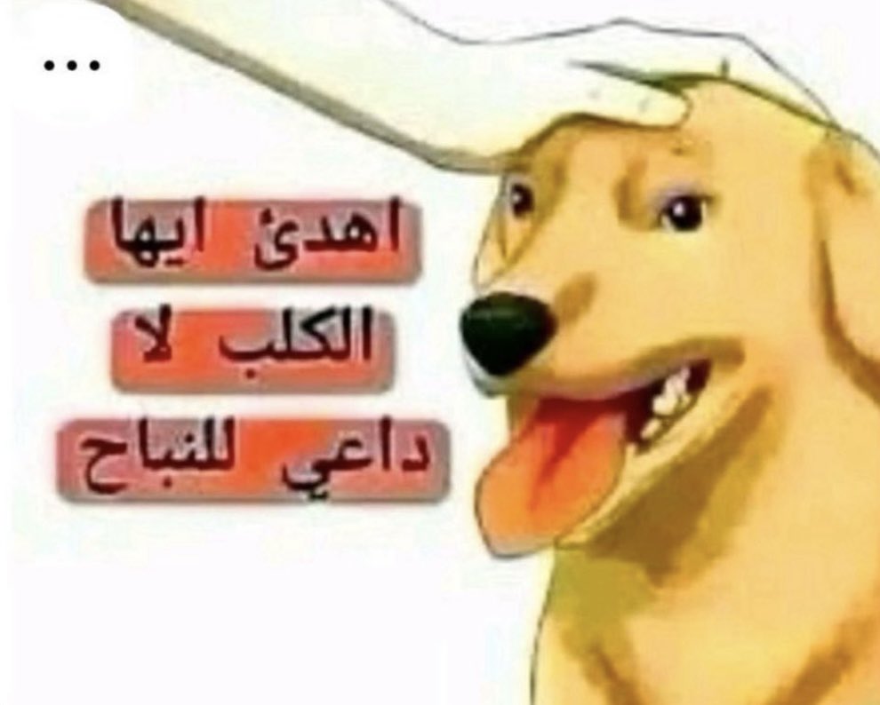 بعدما طيحت حظها وسحلتها وكشفت منغلتها ودست على ذيلها وحطيتلها هالرياكشن لجأت للهايد 🤣🤣🤣
