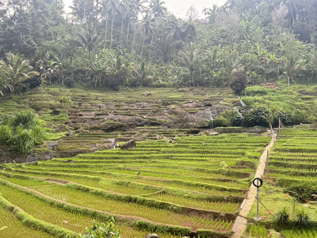 Day 3 - Complete!! 🇮🇩🇮🇩🇮🇩#Indonesia5MarathonsChallenge