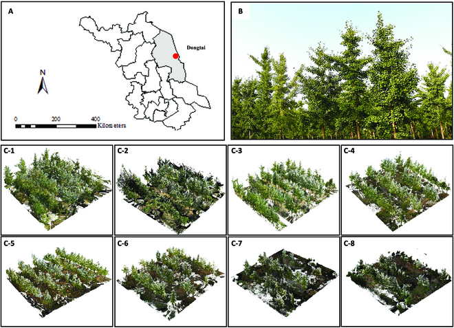 PPhenomics's tweet image. In a ginkgo plantation, we used SSR markers for genetic analysis and TLS for growth structure extraction. High genetic diversity and varied growth traits were found, and 11 top trees were selected.#tls #Treestructure
Details: doi.org/10.34133/plant…
