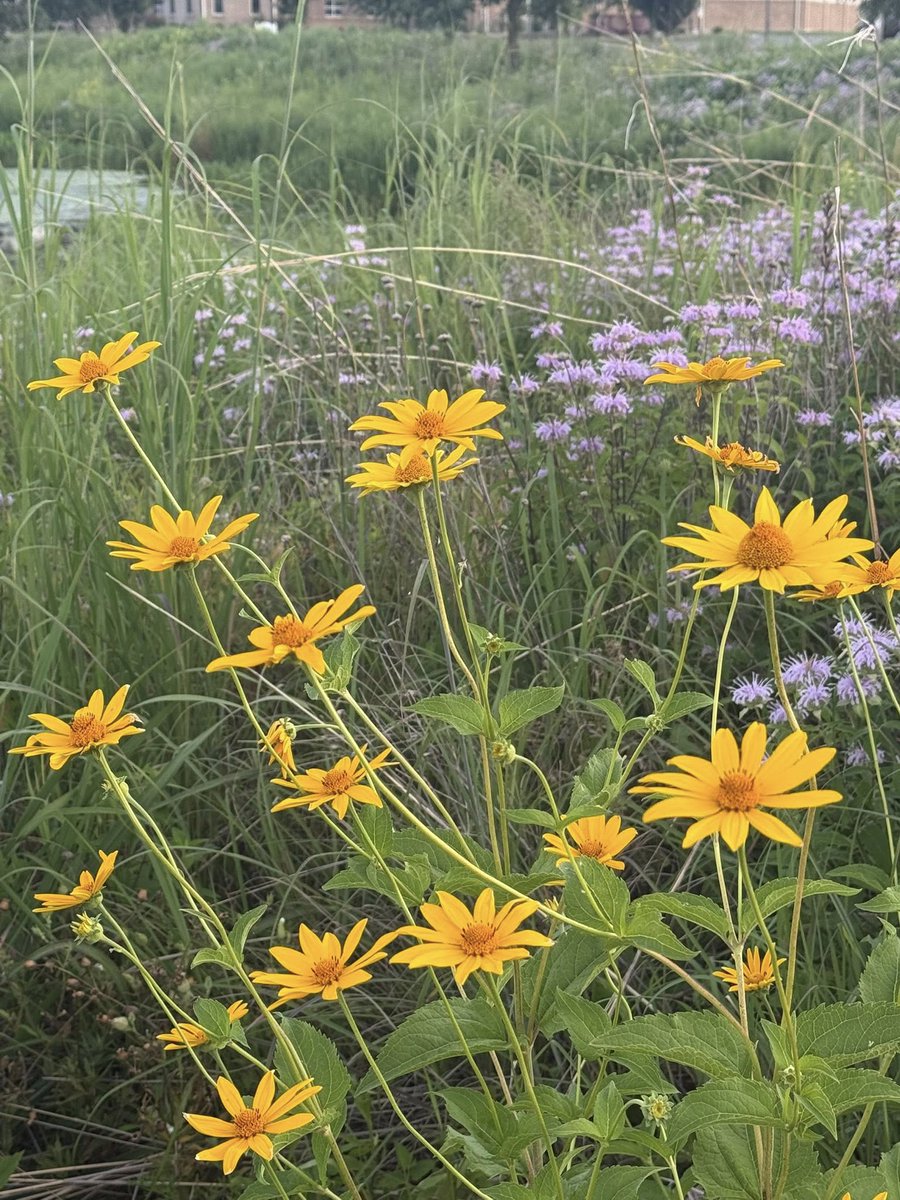 Derrick Riggs tweet media