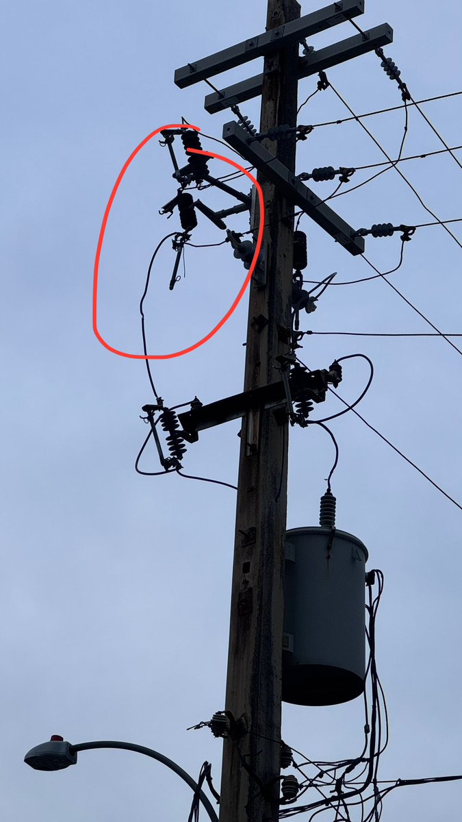 AngieCruz7's tweet photo. Buenos días @lumaenergypr @AEEONLINE @Miguel_Romero_ continúan abajo los machetes en la calle Rodríguez Serra. No hay luz en las calles Conveniencia, Rodríguez Serra, Washington y Paseo Don Juan en #Condado #SanJuan desde el pasado sábado 16 de agosto de 2025. https://t.co/CRs3As7wqI