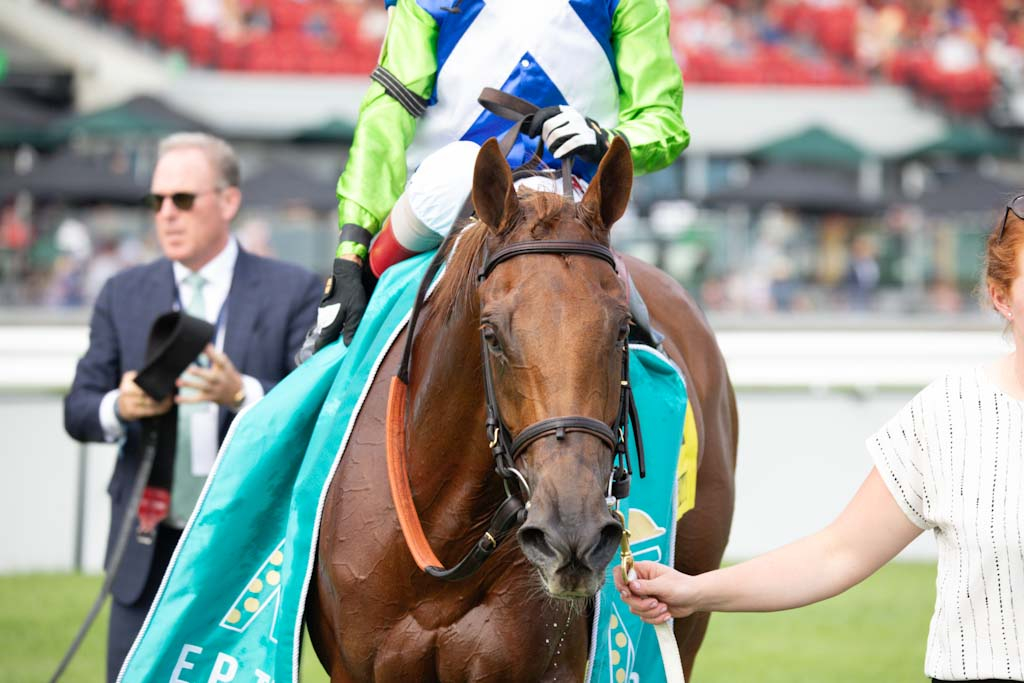 ICYMI: She Feels Pretty Narrowly Prevails in the #WinAndYoureIn E. P. Taylor Stakes at <a href="/WoodbineTB/">Woodbine Racetrack</a>. 

Full Story: breederscup.com/news/2025/she-…

📸: <a href="/EclipseSports/">Eclipse Sportswire</a>
