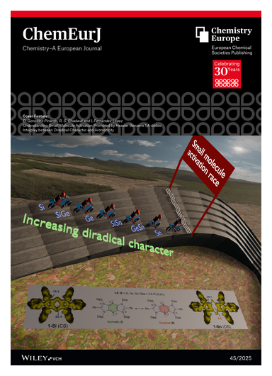 ChemEurJ's tweet photo. #CoverFeature Understanding Small Molecule Activation Promoted by Heavier Benzene 1,4-diides: Interplay Between Diradical Character & Aromaticity (Israel Fernández and co-workers) ChemEurJ 45/2025 https://t.co/zS5atb9g1M • https://t.co/1zKa4kHHiQ https://t.co/fsorw6af2Z