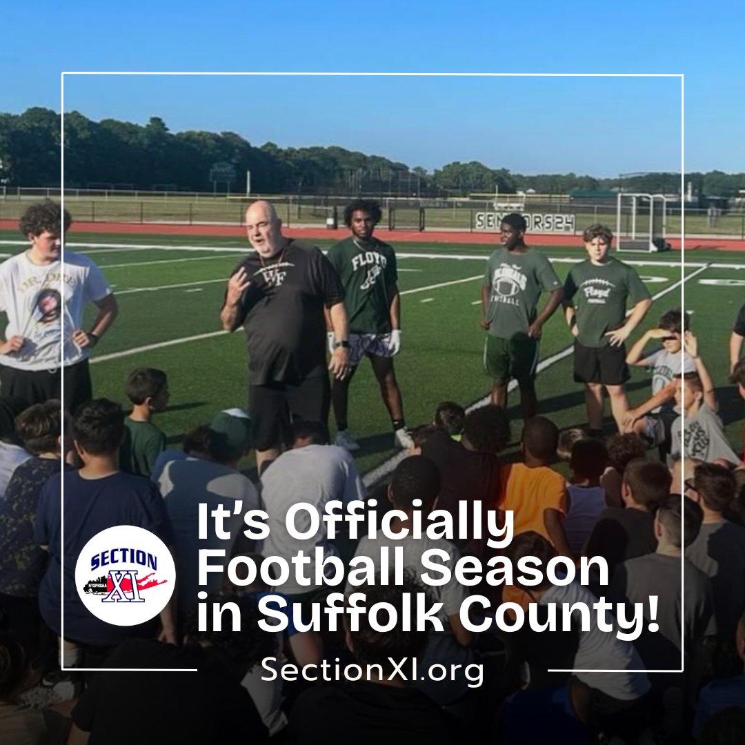 SectionXI tweet media