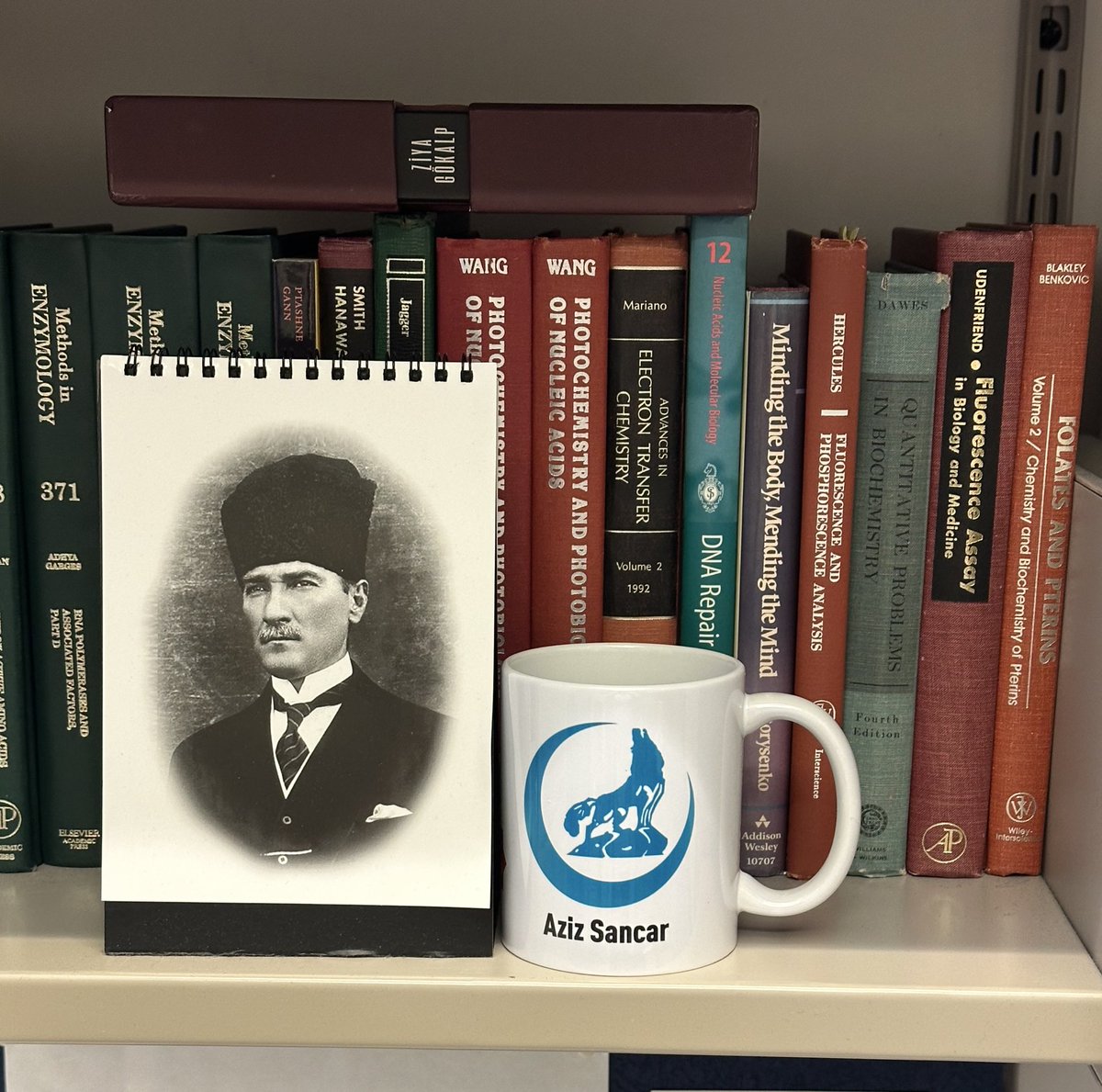 Şarkışla Vizyon (@sarkislavizyonh) on Twitter photo Nobel ödüllü, Ülkü Ocaklı bilim adamı Aziz Sancar'ın, North Carolina Üniversitesi’ndeki çalışma ofisinden bir kare..
<a href="/sarkislavizyonh/">Şarkışla Vizyon</a>
<a href="/sarkislavizyonh/">Şarkışla Vizyon</a> Nobel ödüllü, Ülkü Ocaklı bilim adamı Aziz Sancar'ın, North Carolina Üniversitesi’ndeki çalışma ofisinden bir kare..
<a href="/sarkislavizyonh/">Şarkışla Vizyon</a>
<a href="/sarkislavizyonh/">Şarkışla Vizyon</a>