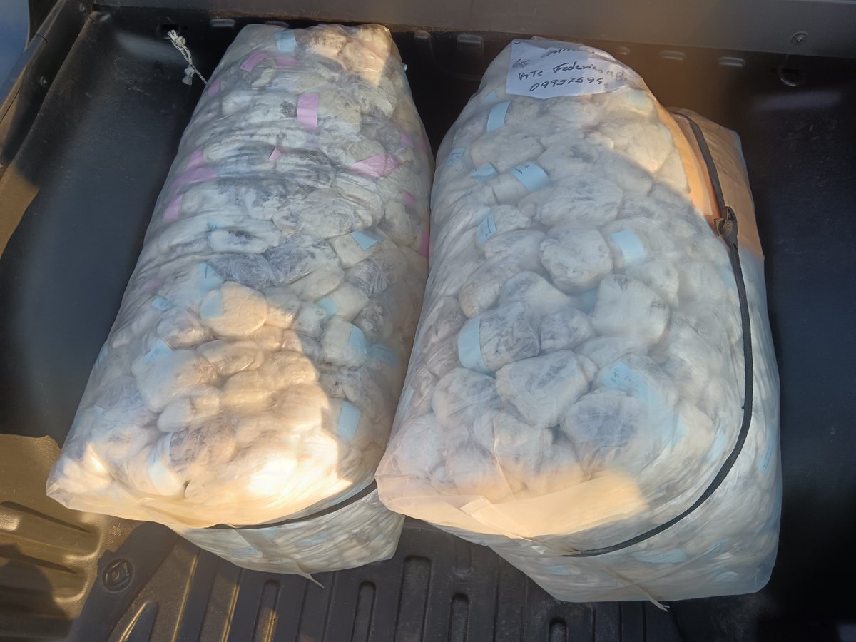 De a gramos, fuimos cosechando unos cuantos kg de nuestra lana más fina, para analizar en el <a href="/SUL_uy/">SUL</a>, recabando datos para la evaluación 2025.