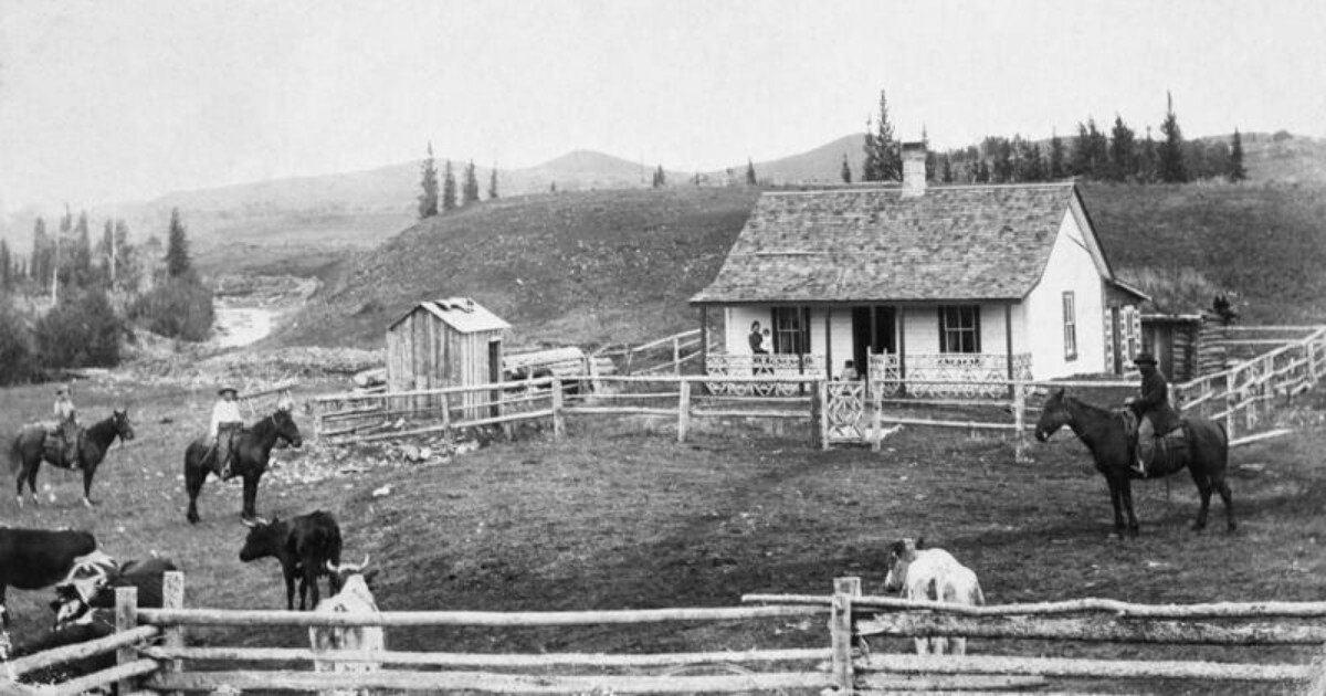 U Calgary (@ucalgary) on Twitter photo #UCalgary archaeologist, Dr. Lindsay Amundsen-Meyer, unearths more history at John Ware ranch bit.ly/4oLKcRa <a href="/UCalgaryArts/">UCalgary Arts</a> #UCalgary archaeologist, Dr. Lindsay Amundsen-Meyer, unearths more history at John Ware ranch bit.ly/4oLKcRa <a href="/UCalgaryArts/">UCalgary Arts</a>