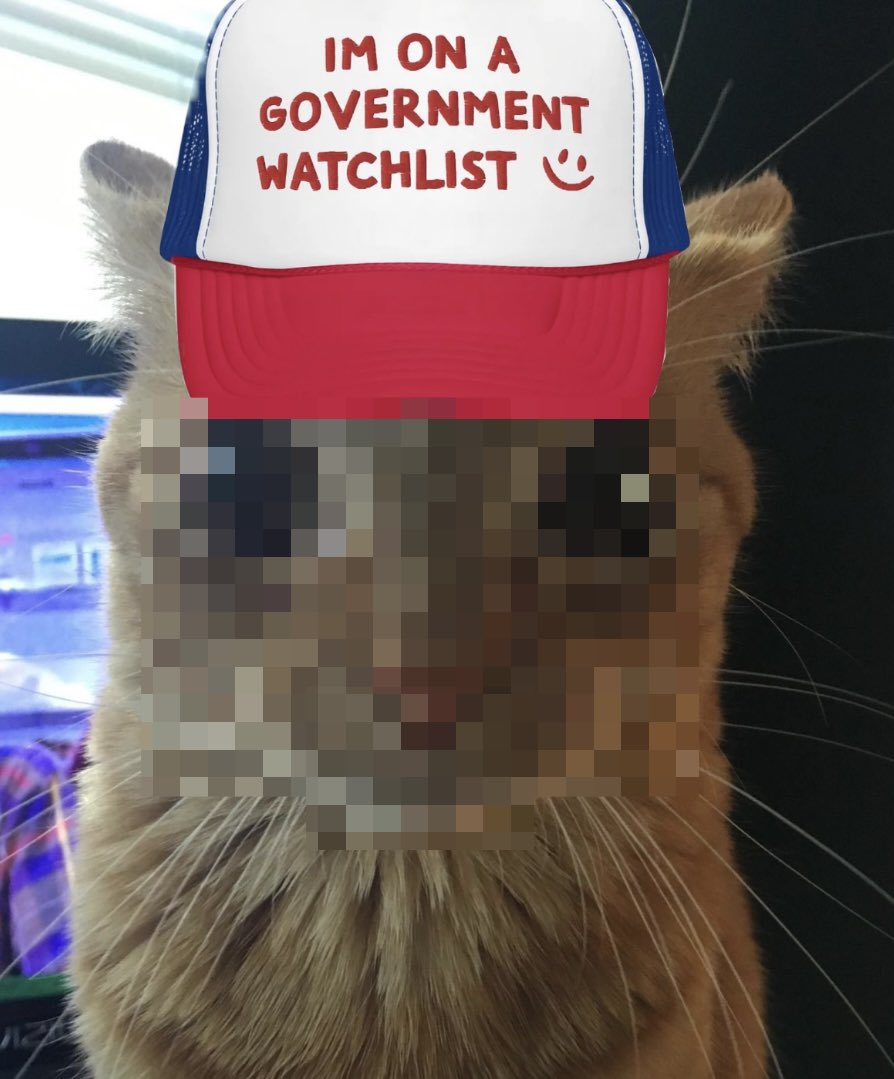 Lmao I know something that ticks these boxes. We will rotate back to these coins. I am front running YOU