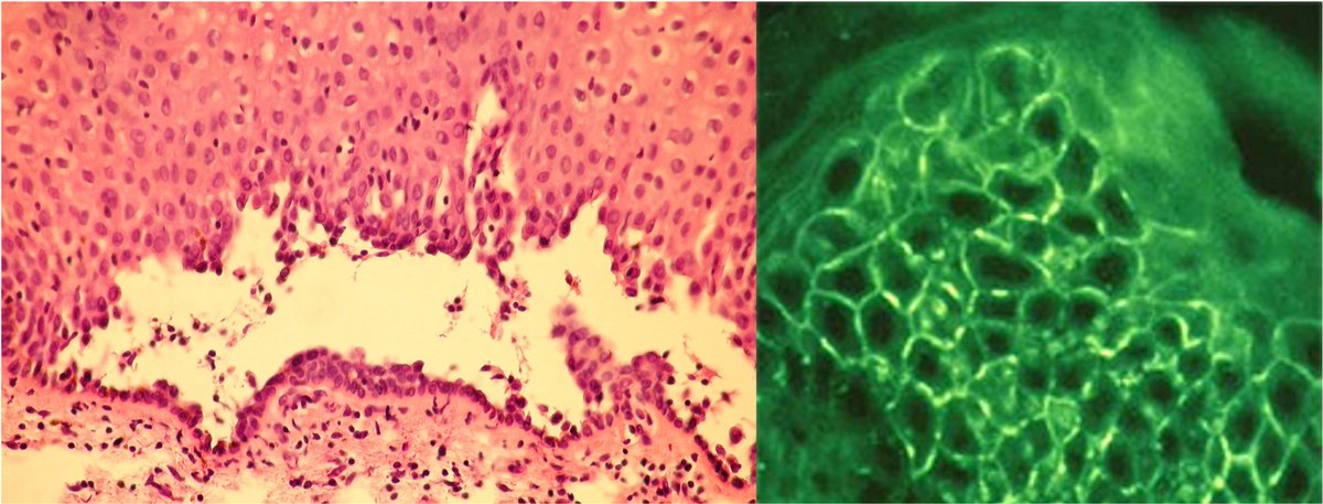 Christian Posch M.D. Ph.D. MBA tweet media