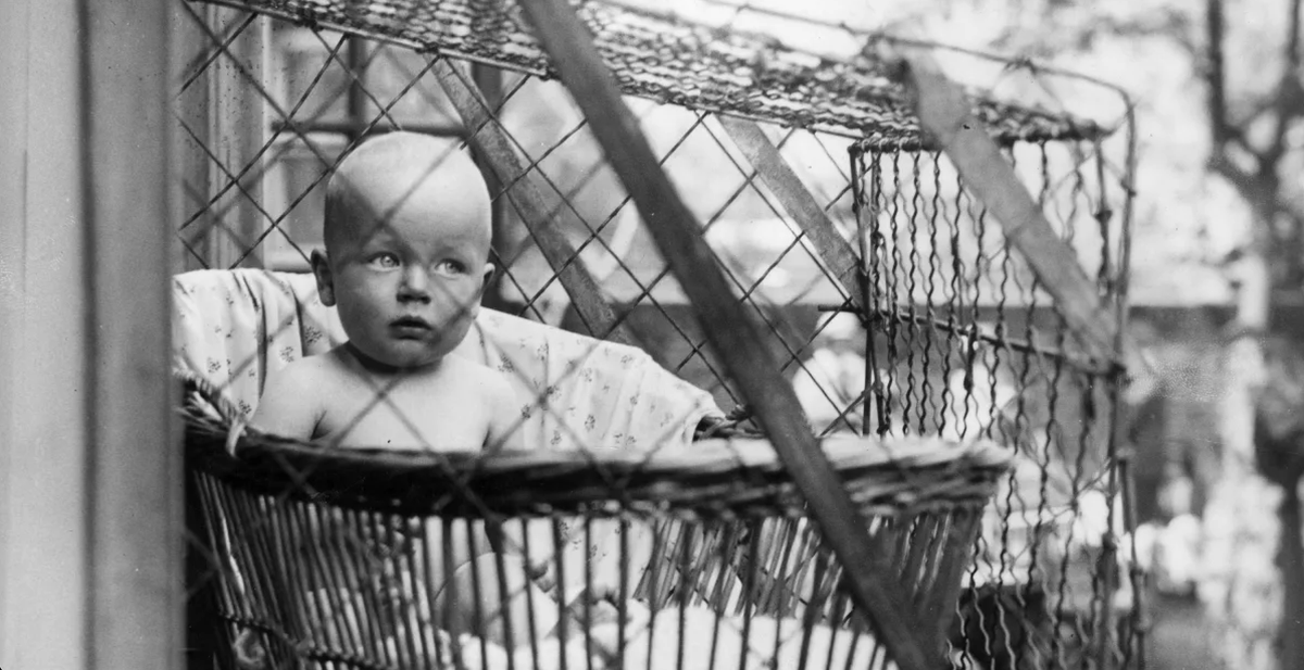 SUE the T. rex 🦖 (@suethetrex) on Twitter photo At the bar talking everyone's ear off about 1930s baby cages. At the bar talking everyone's ear off about 1930s baby cages.