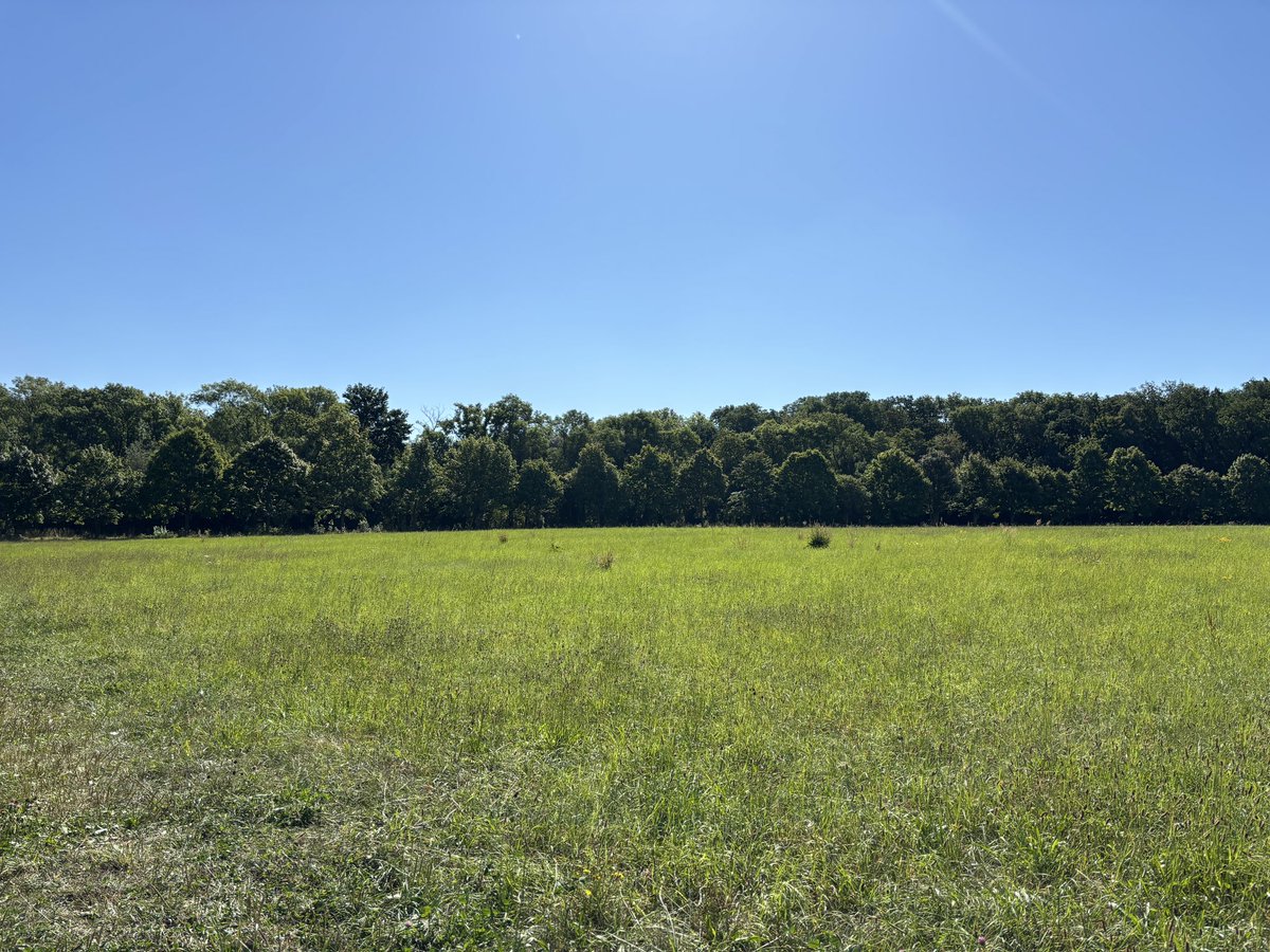 m00nph4ses's tweet image. Walk