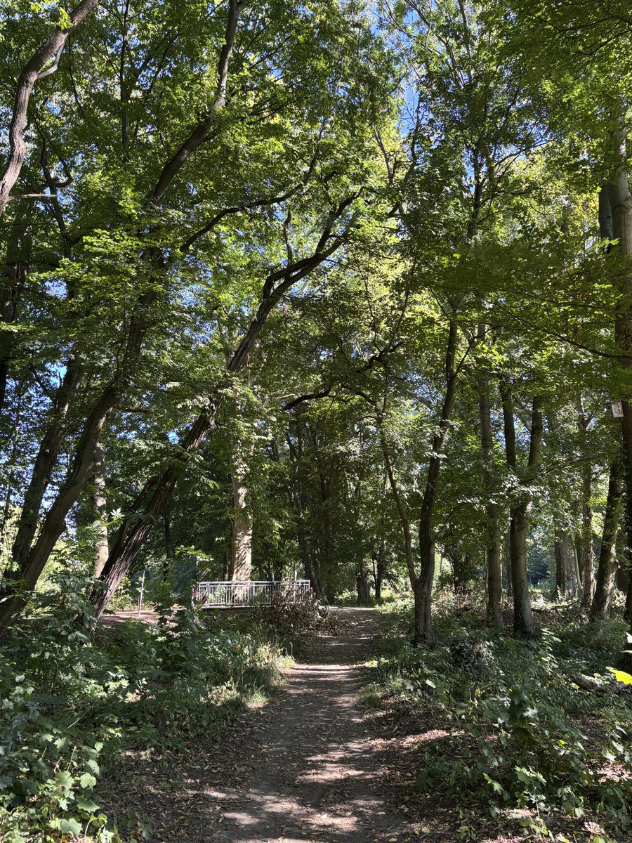 m00nph4ses's tweet image. Walk