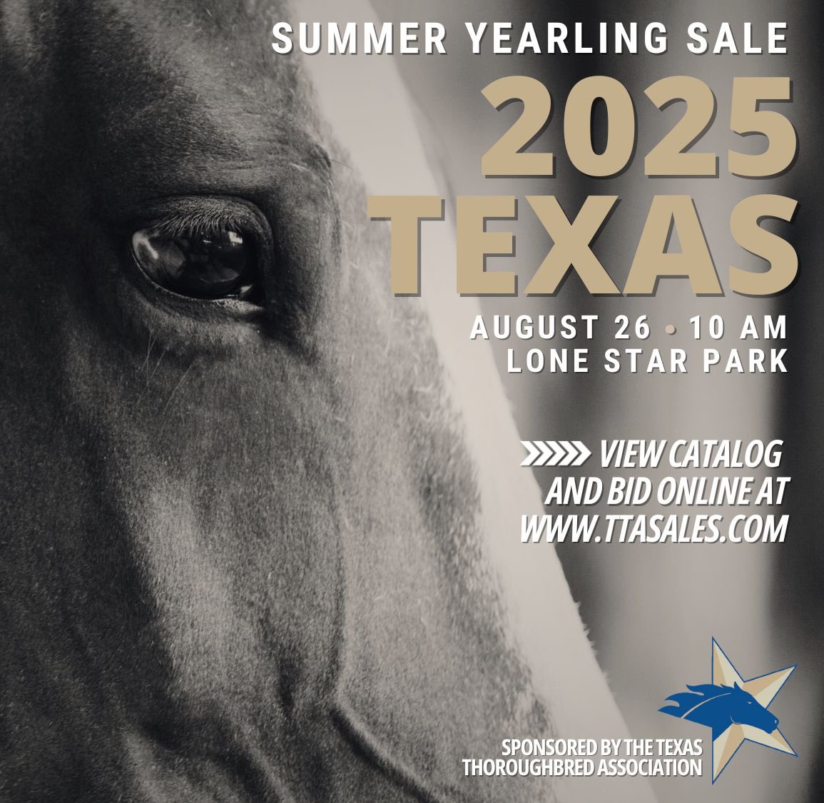 Texas Thoroughbred (@ttatexas) on Twitter photo 2025 Texas Summer Yearling and Mixed Sale
📅 August 26, 2025 at 10 a.m. Central
📍<a href="/lonestarpark/">Lone Star Park</a>
📕: ttasales.com/yearling-sale/… 2025 Texas Summer Yearling and Mixed Sale
📅 August 26, 2025 at 10 a.m. Central
📍<a href="/lonestarpark/">Lone Star Park</a>
📕: ttasales.com/yearling-sale/…
