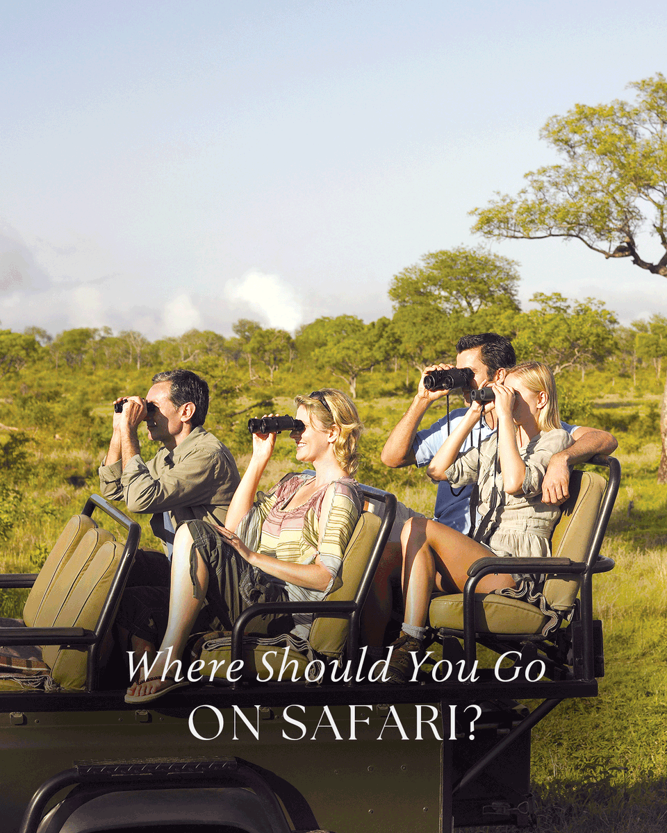 Wondering how to choose between our Safari Land Programs? Our expert, Christina Andrusyshyn answers your questions: bit.ly/45AE31l #OnTheBlog #UnrivaledAtSea #AfricanSafari #LuxuryCruising