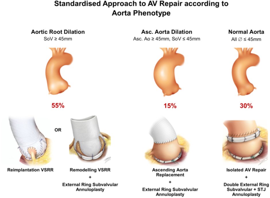 Journal of the Heart Valve Society tweet media