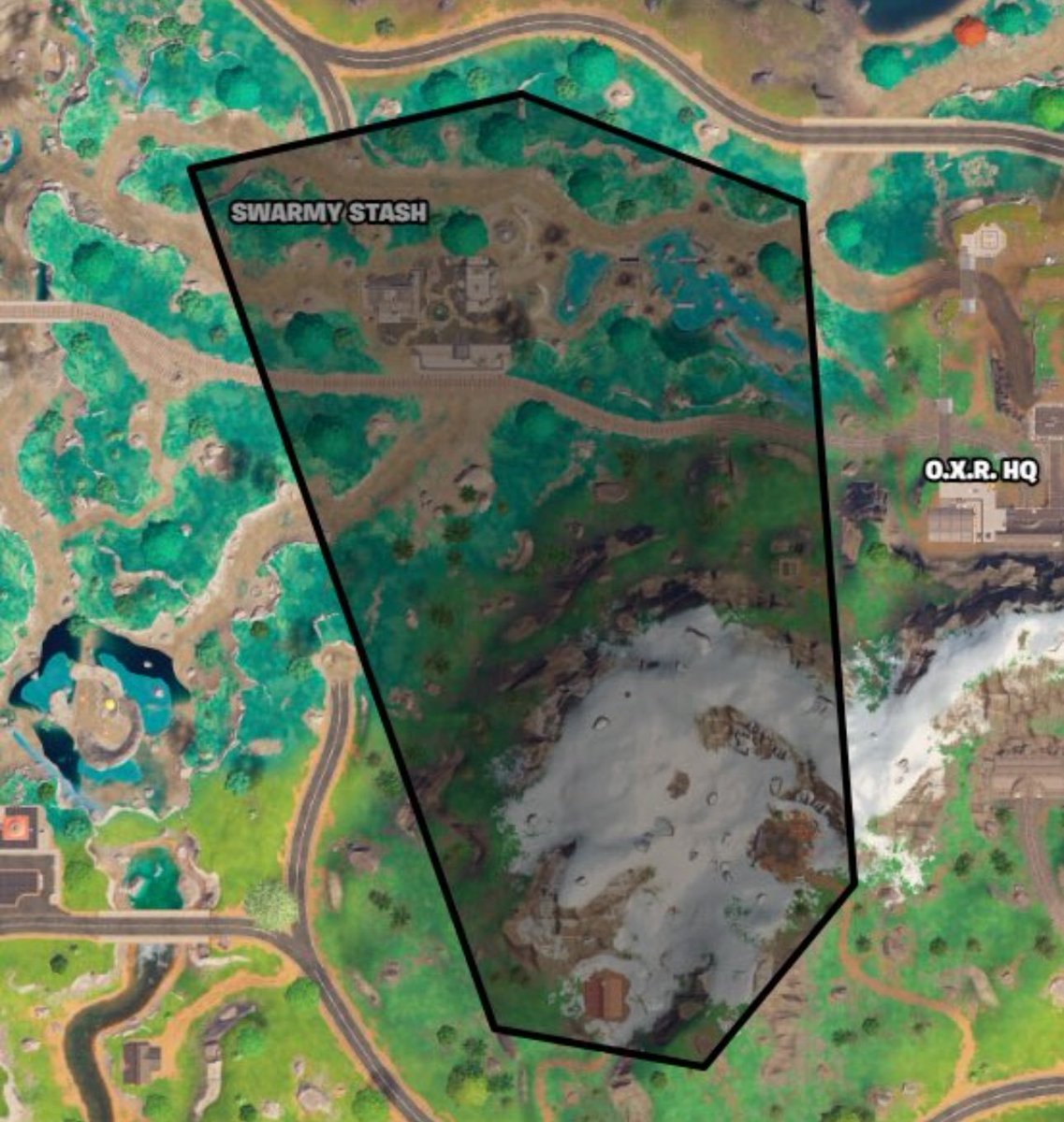 Swarmy + Flag for finals 🫂