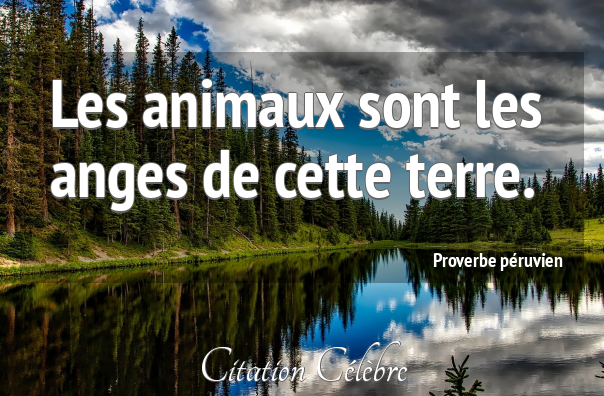 PascaleAnimos tweet media