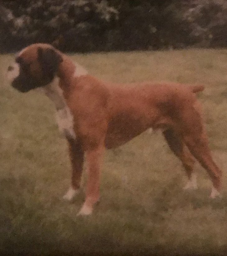 Pastor Alex tweet media