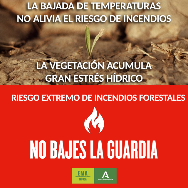 📆 18/08/2025     🕜 19.15 h.

🔴 ESTABILIZADO #IFMálaga, en paraje Monte Coronado. Seguimos para su control.

MEDIOS:
🚁 1 ligero
👩‍🚒 3 grupos bomberos forestales, 1 #TOP, #AAMM
🚒 1 autobomba