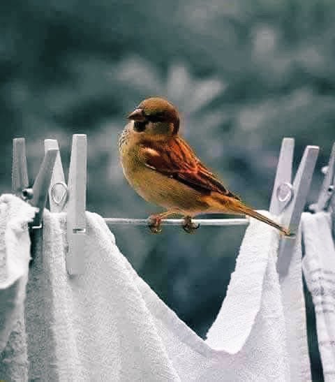 متاعب الحياة المتكررة...لا تريد منك أن تحزن!!!
بل تريد منك أن تتغير ..أن تصبح أكثر صبرًا... وأكثر  إصرار وتقدمًا ..!