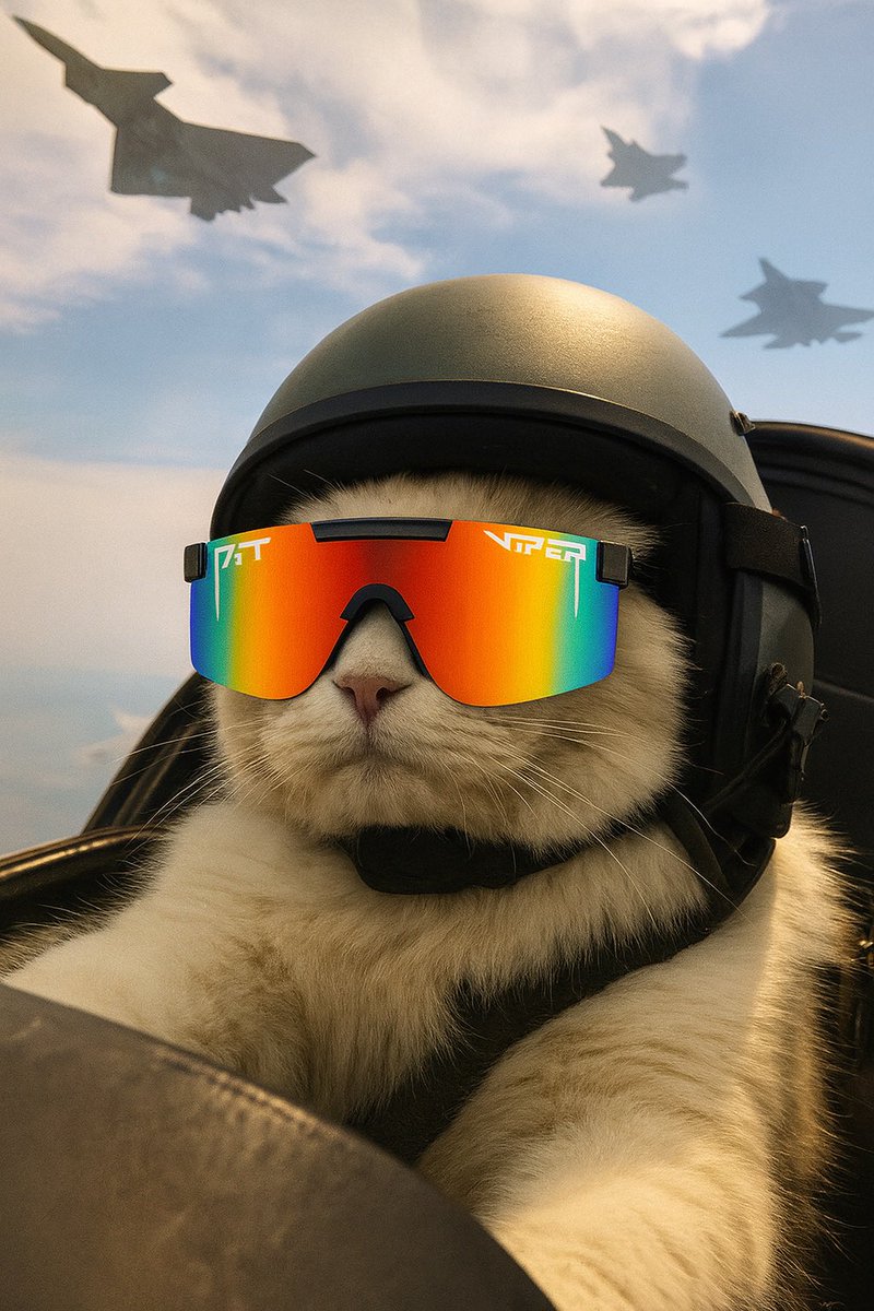mogcoin's tweet image. All systems ready to MOG 🫵😹