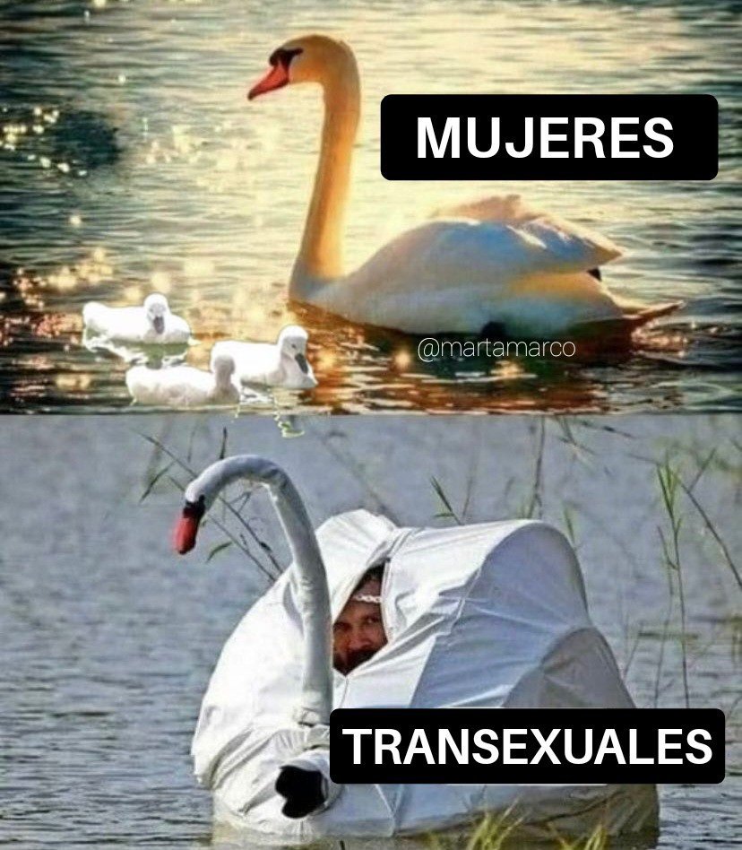 Valeria Vlad (@_dystopiangirl_) on Twitter photo 