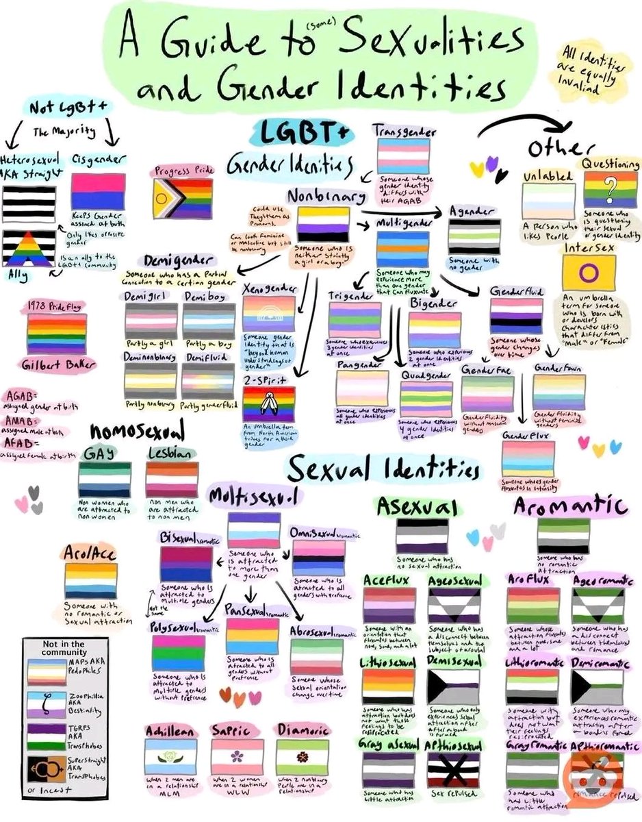 So ungefähr sieht es in deren Hirn aus.