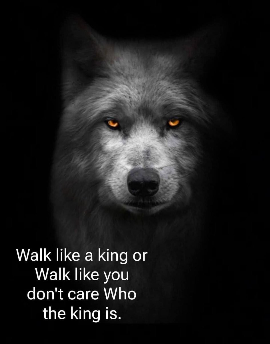 #KHKlılarAdaletİstiyor
Ya Kral gibi yürü!
Ya da Kralın kim olduğunu umursamazca yürü!