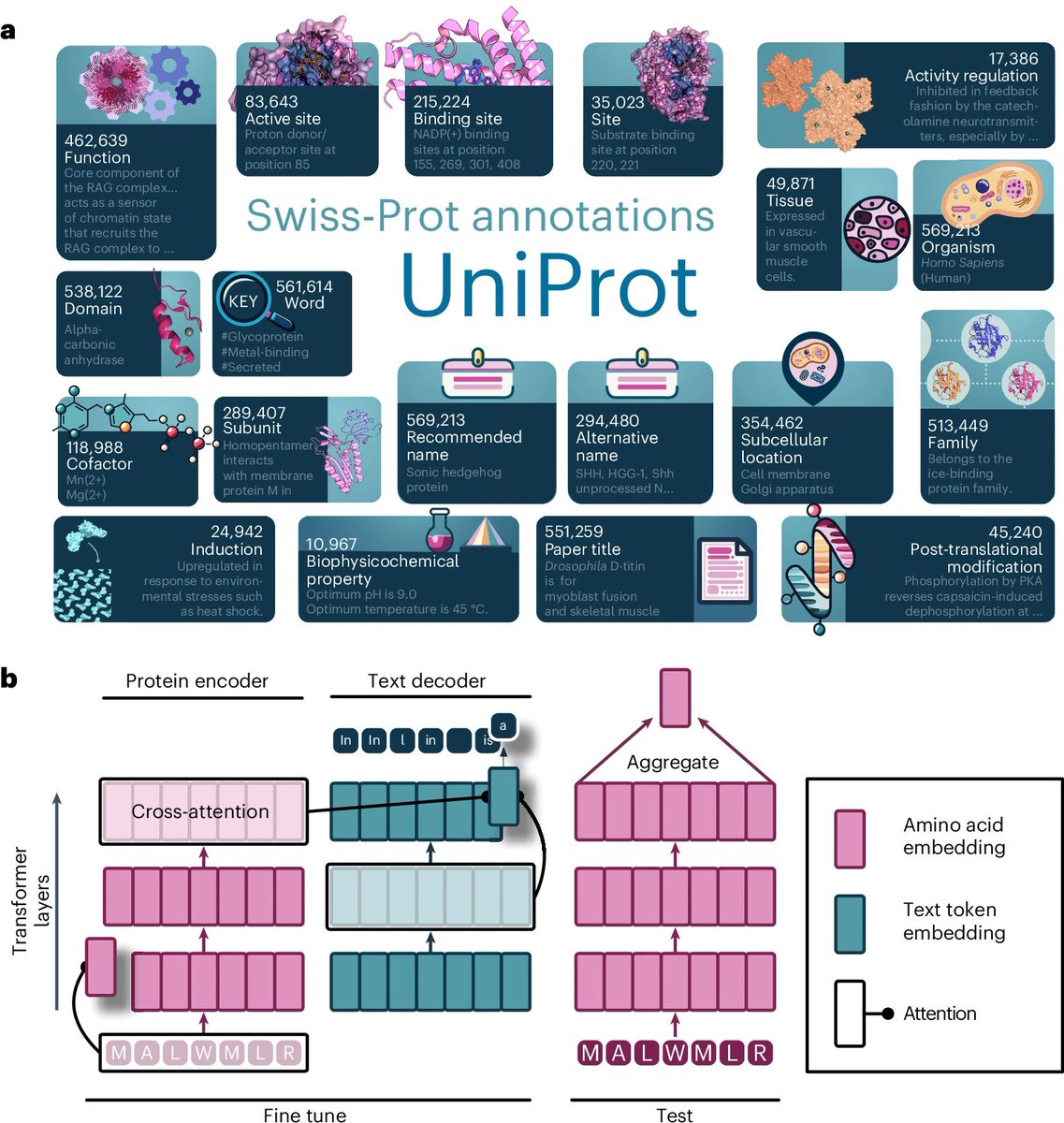 DailyHealthcareAI (@aipulserx) on Twitter photo How can protein representations be improved by leveraging text annotations?<a href="/NatMachIntell/">Nature Machine Intelligence</a> <a href="/UofT/">University of Toronto</a>
"Boosting the predictive power of protein representations with a corpus of text annotations"
1. The background introduces protein language models, which are trained on vast protein How can protein representations be improved by leveraging text annotations?<a href="/NatMachIntell/">Nature Machine Intelligence</a> <a href="/UofT/">University of Toronto</a>
"Boosting the predictive power of protein representations with a corpus of text annotations"
1. The background introduces protein language models, which are trained on vast protein