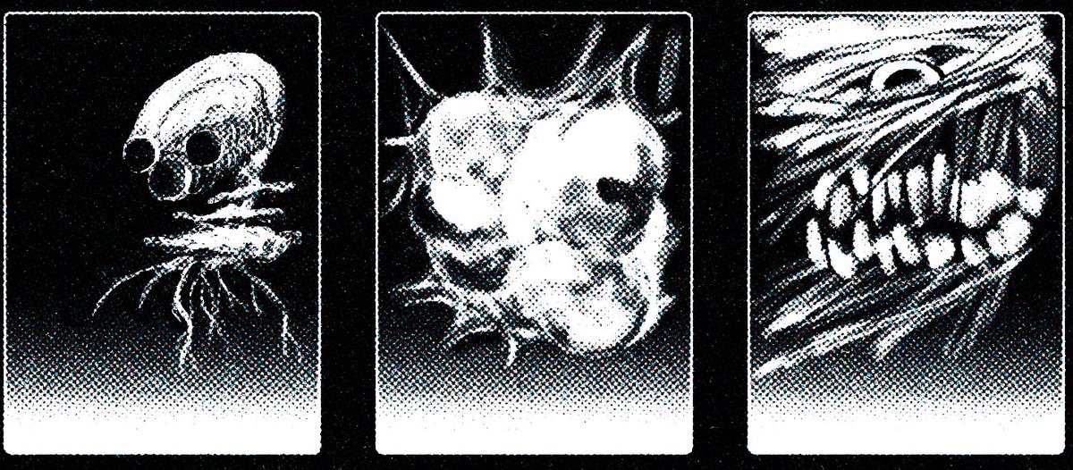 Divine Beast Dancing Lightskin (@latticeparable) on Twitter photo 