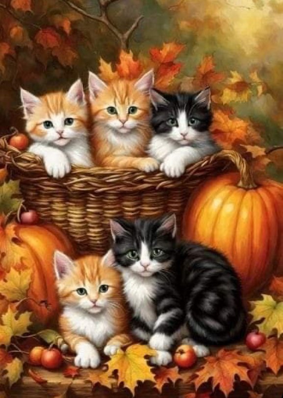 <a href="/MemeCat99014509/">Sally & Sabrina🐾🖤🤍 🐈‍⬛ 🐾🖤🐈‍⬛</a> We are so ready fur da Fall 🎃🍂🍁🍃