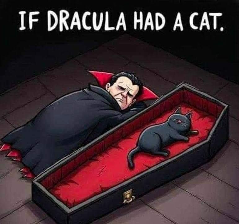 PowerfulAuraX's tweet photo. If Dracula had a cat https://t.co/bH4pM5kKdm