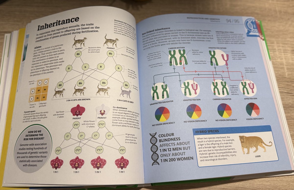 Hadeel Ahmad tweet media
