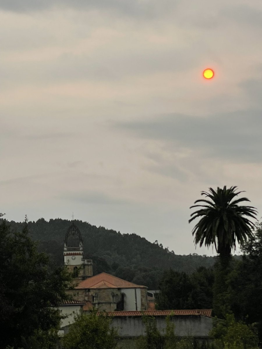 Estos días estamos viendo el #sol con este aspecto, como si tuviese un filtro. Es debido al #humo de los #incendios que llega mucho más allá de la zona del fuego... (Y también llega muy lejos el empeoramiento de la calidad del aire) Hoy otro día más 🥲
Qué tristeza, dolor y rabia