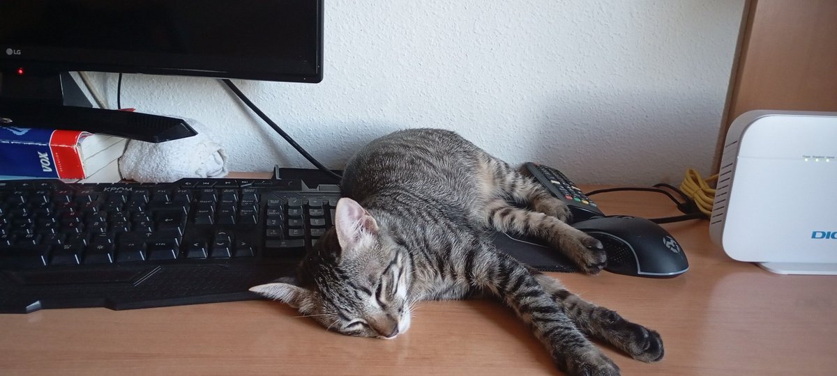 Nuevo material para mi setup, ahora si.🔥🔥