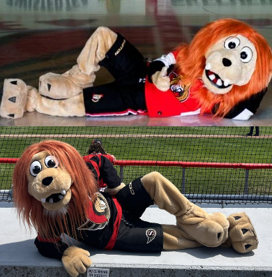 The Life of a Showgirl