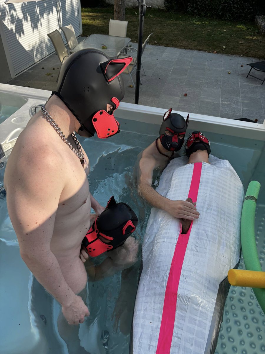 PuppyNilo tweet media