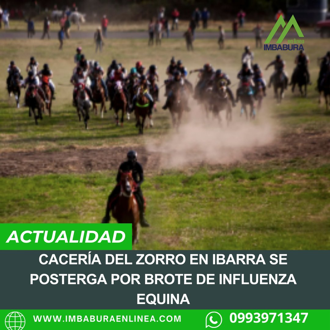 #URGENTE La decisión se adoptó en cumplimiento de la notificación formal emitida por Agrocalidad, autoridad nacional encargada de regular la sanidad animal, y responde a causas de fuerza mayor. Toda la información: lc.cx/i6-Yl5 imbaburaenlinea.com
