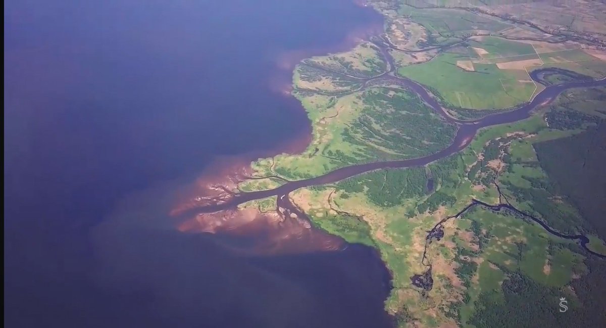 Kaliningrad Region tweet media