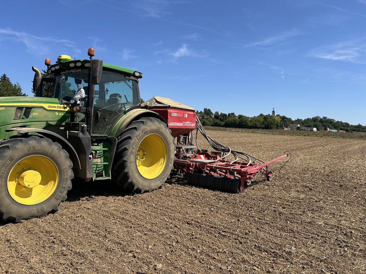 S’💚 des 🍽️ c’est un peu comme jouer au loto. Tu y met de l’argent en espérant que ça fonctionne ☘️