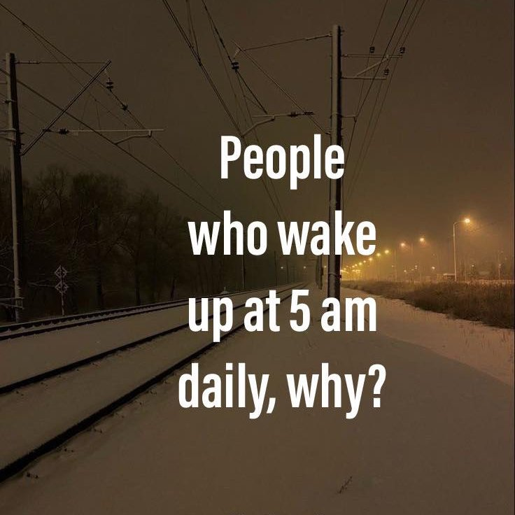 Epic Clip Vault tweet media