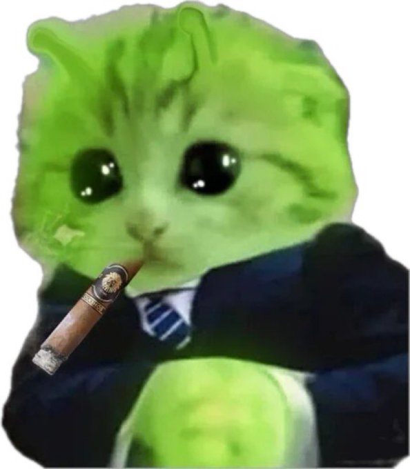 GlorpStrategy™ has acquired 10 Glorps for ~$1920 at ~$192 per a Glorp and has achieved GlorpYield™ of 27.0% YTD 2025. As of 8/17/2025, we own 37 Glorps acquired for ~$7104 at ~$192 per Glorp.